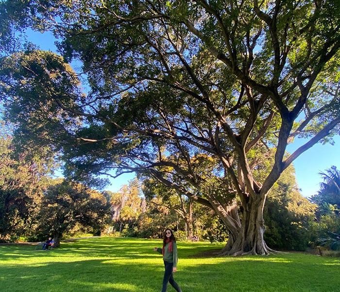 Estudiante en los jardines botánicos de Adelaida